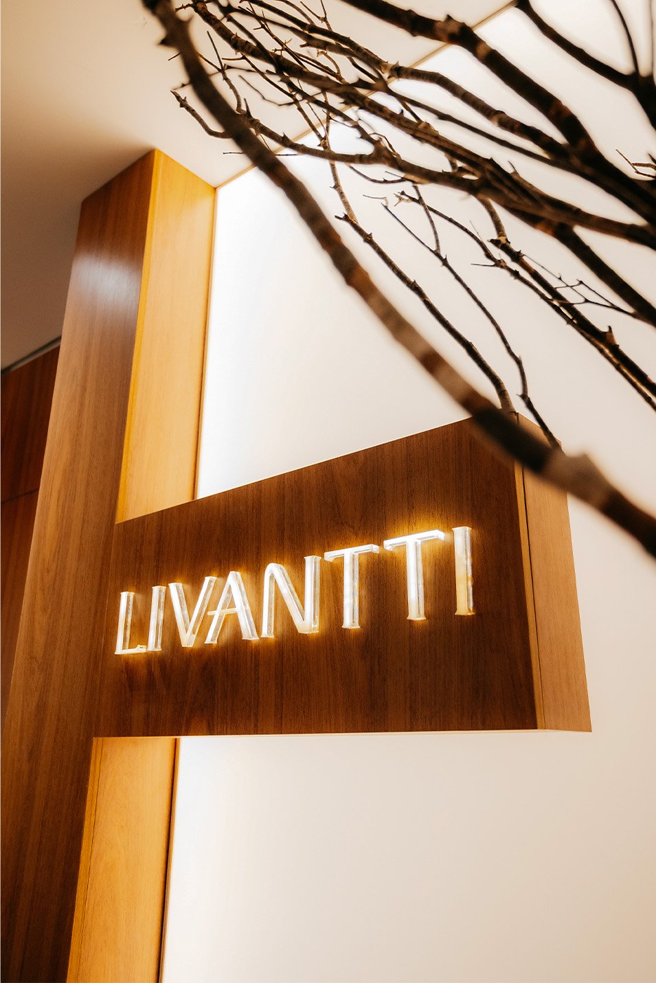 Instituto Livantti